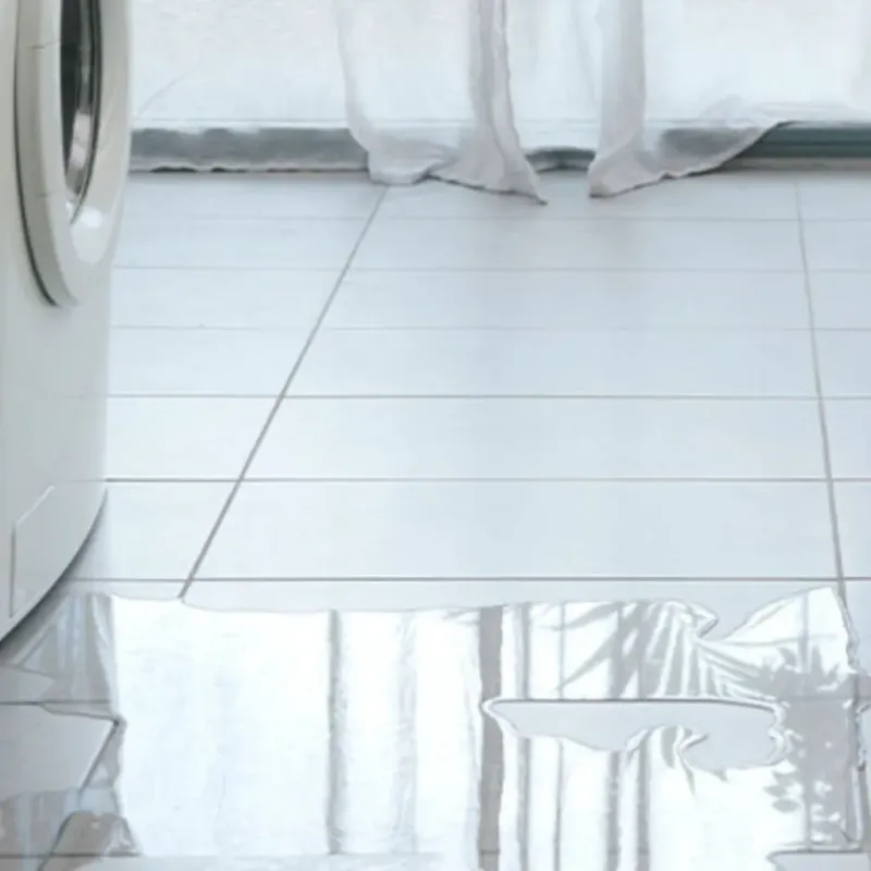 Appliance Leak Cleanup in Greene, ME