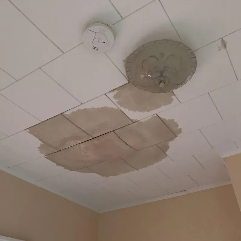 Ceiling Water Damage Repair in Greene, ME
