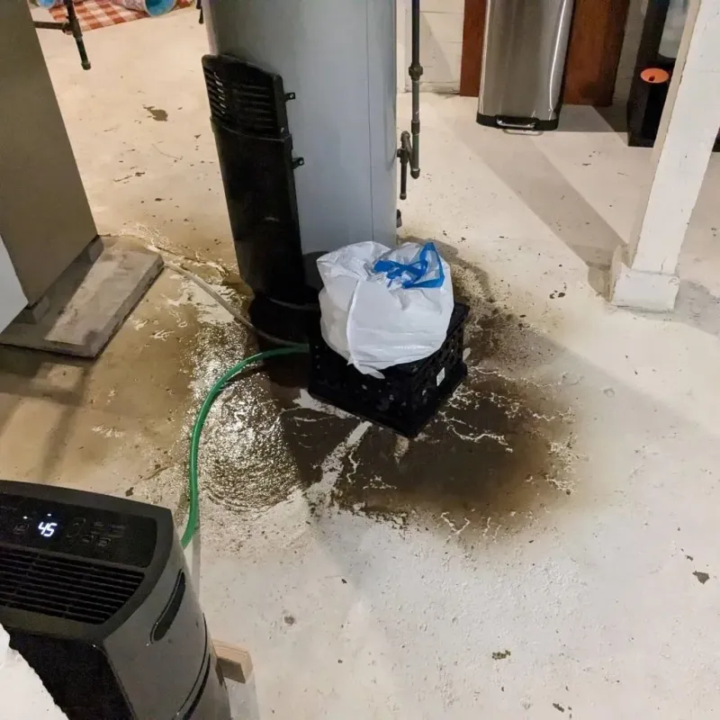 Sewage Backup Cleanup Service in Greene, ME